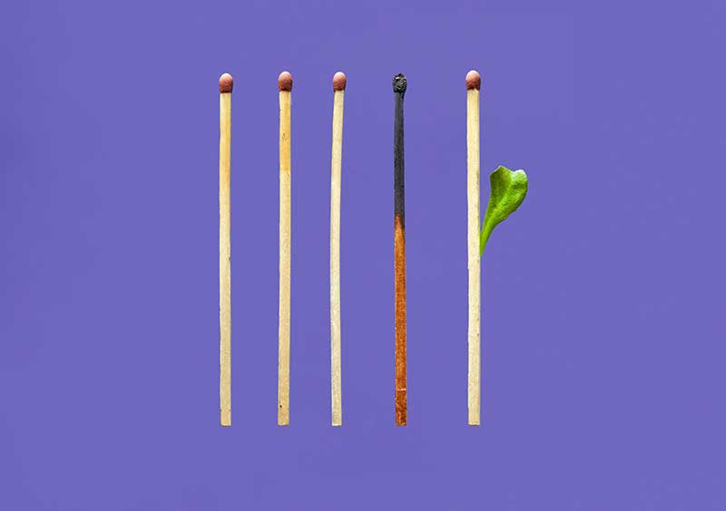 5 matches with one burned and one sprouting a leaf