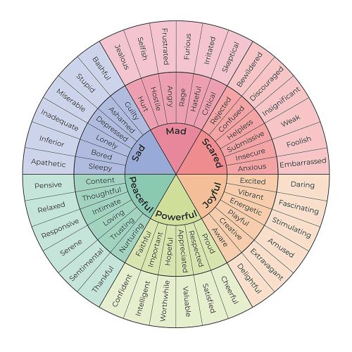 Diagram of the Feelings wheel
